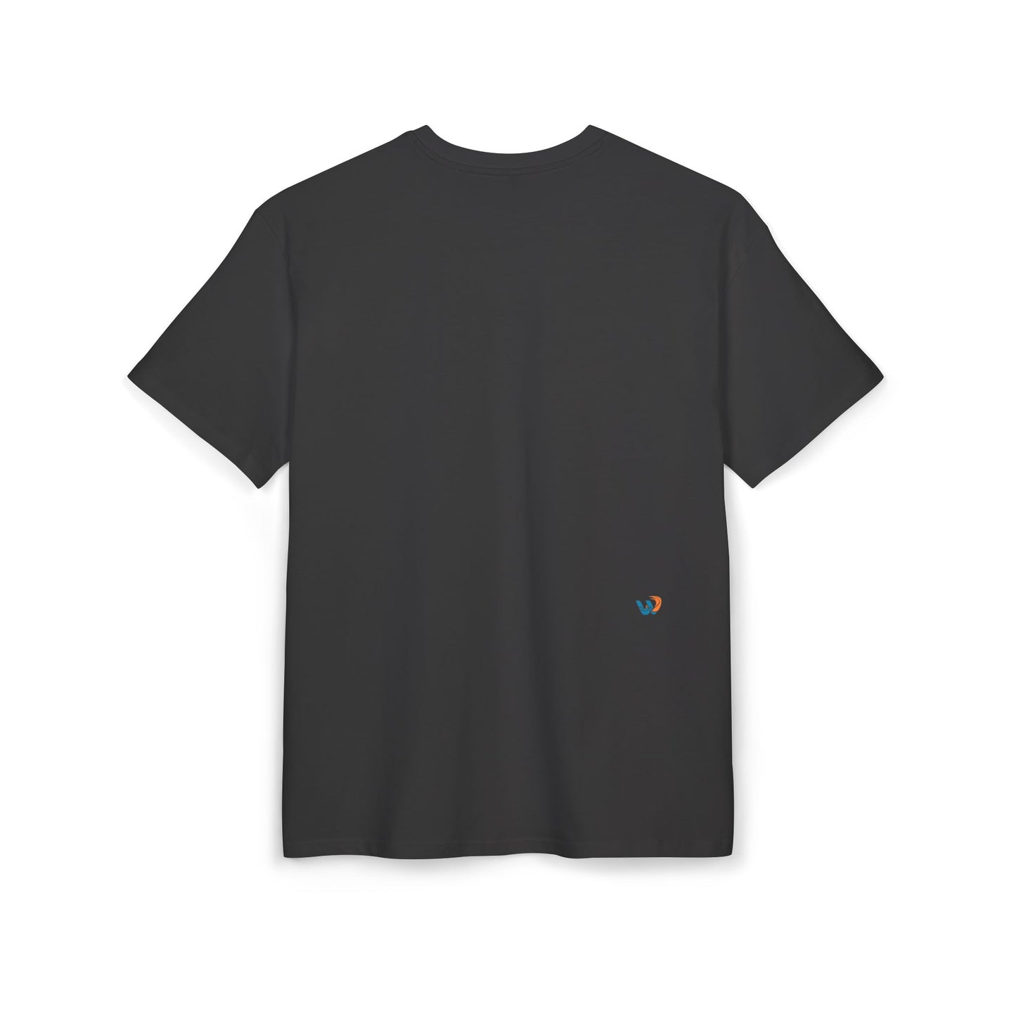 Windee - I have Wings - Unisex Heavy Oversize Tee